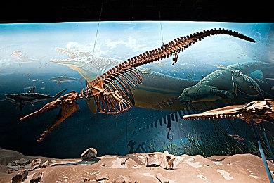 未达预期 EA或将中止对《狂野之心》的支持